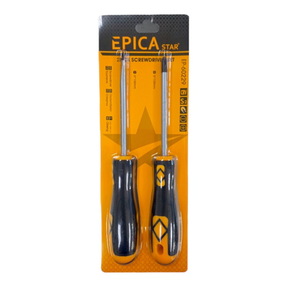 Set 2 destornilladores Paleta/Phillips