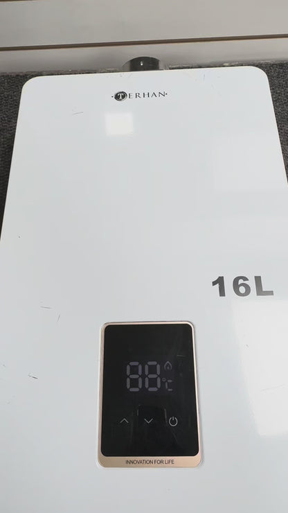 Calentador Instantáneo Tiro Balanceado Forzado 16 L Blanco